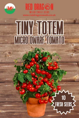 diy-4202606021840582101177